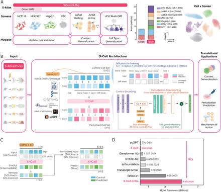 X-Cell: Scaling causal perturbation prediction across diverse cellular contexts via diffusion language models
